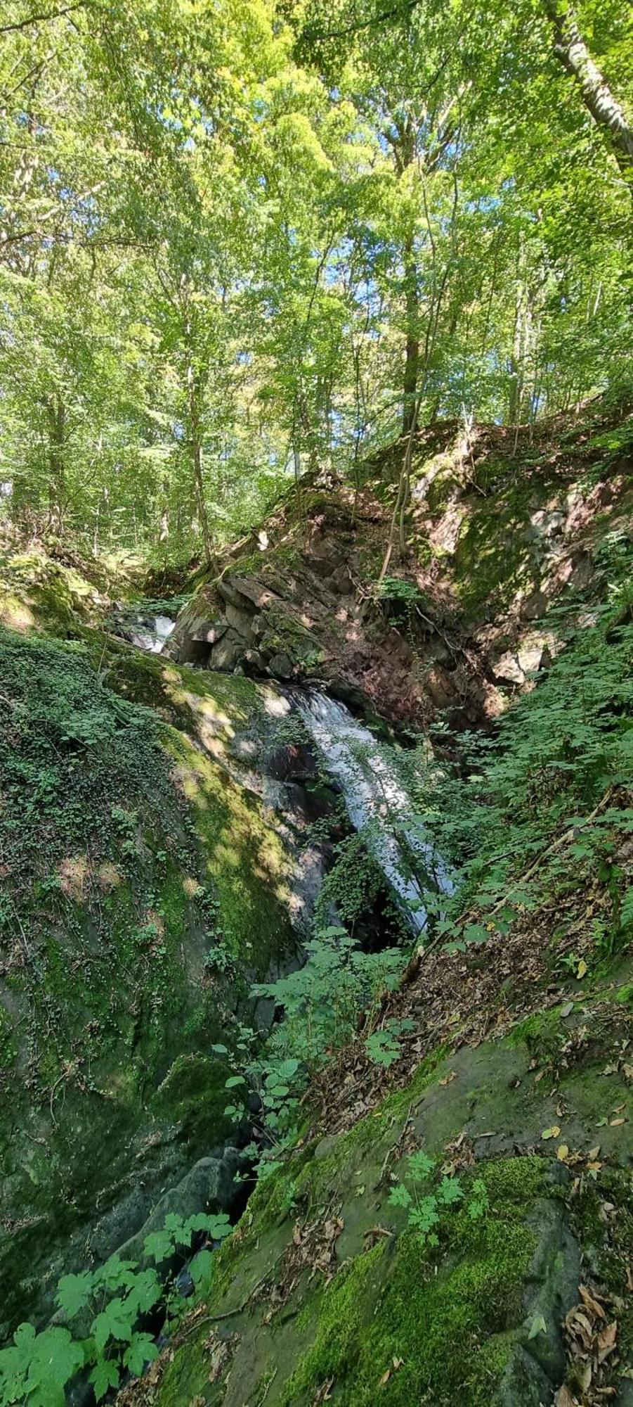 Ferienwohnung Zum Hirschen Herzberg am Harz Luaran gambar