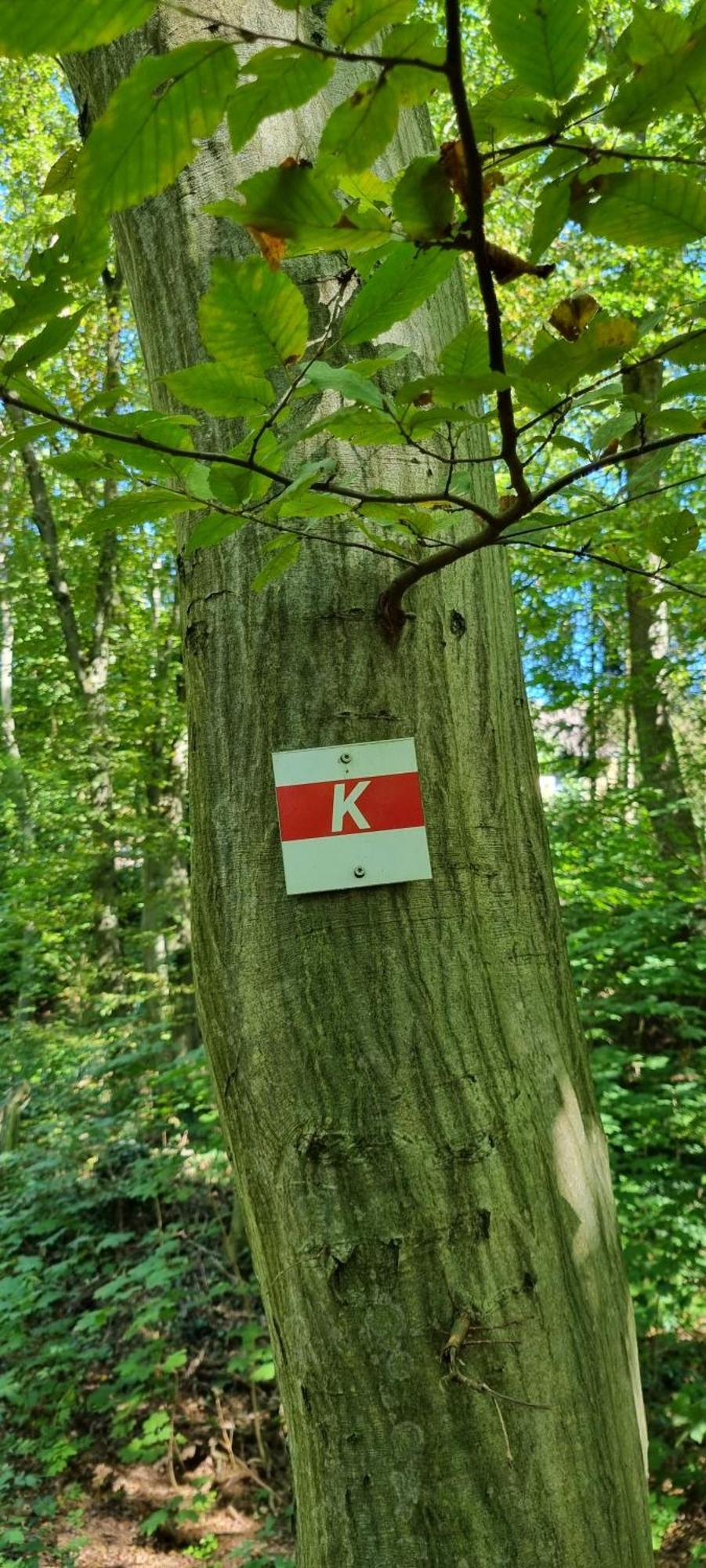Ferienwohnung Zum Hirschen Herzberg am Harz Luaran gambar